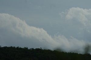 Storm 1
